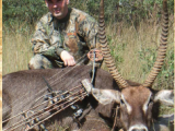 Waterbuck