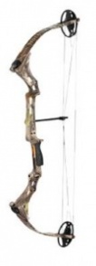 bow