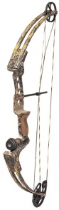 bow