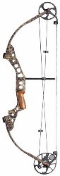 bow