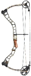 bow
