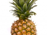 Ananas (Pineapple, Nanas, Pina)